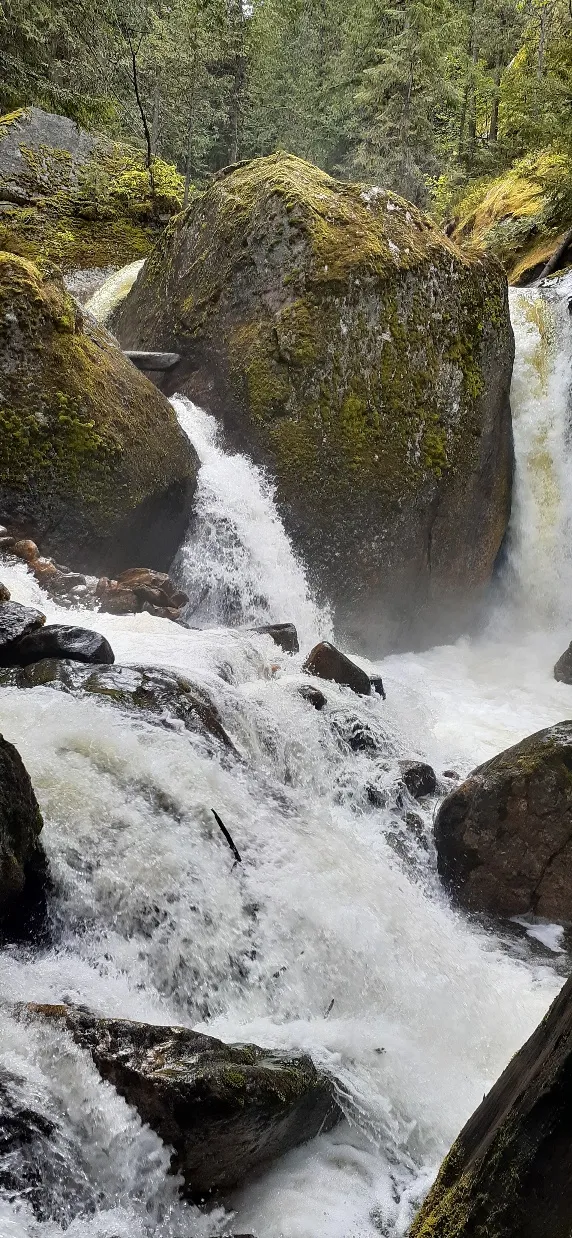 Sicamous Creek Falls Trail