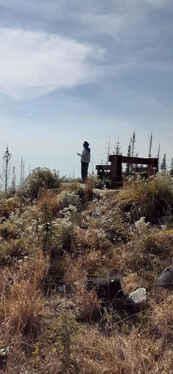 Panorama Point