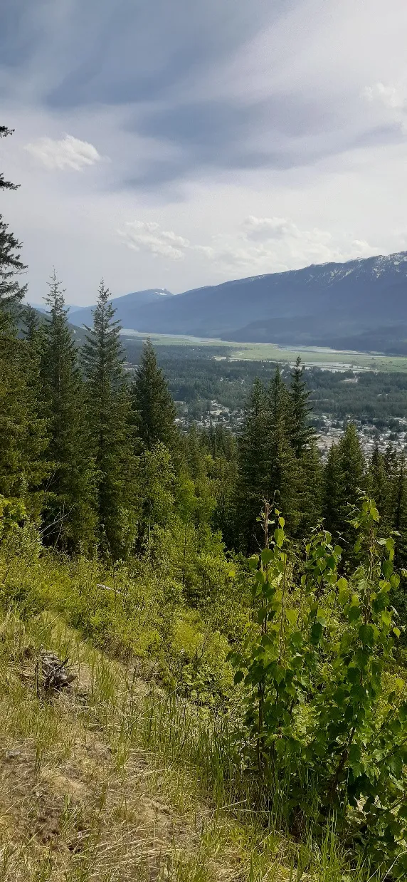 Revelstoke Lookout