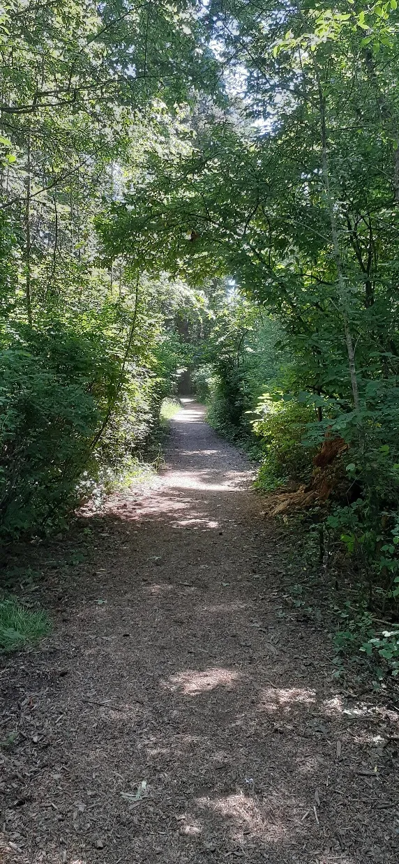 Beacon Hill Park