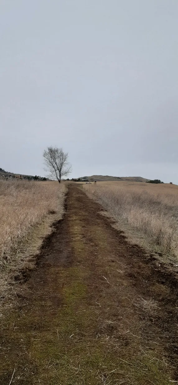 Swan Lake Nature Reserve Park