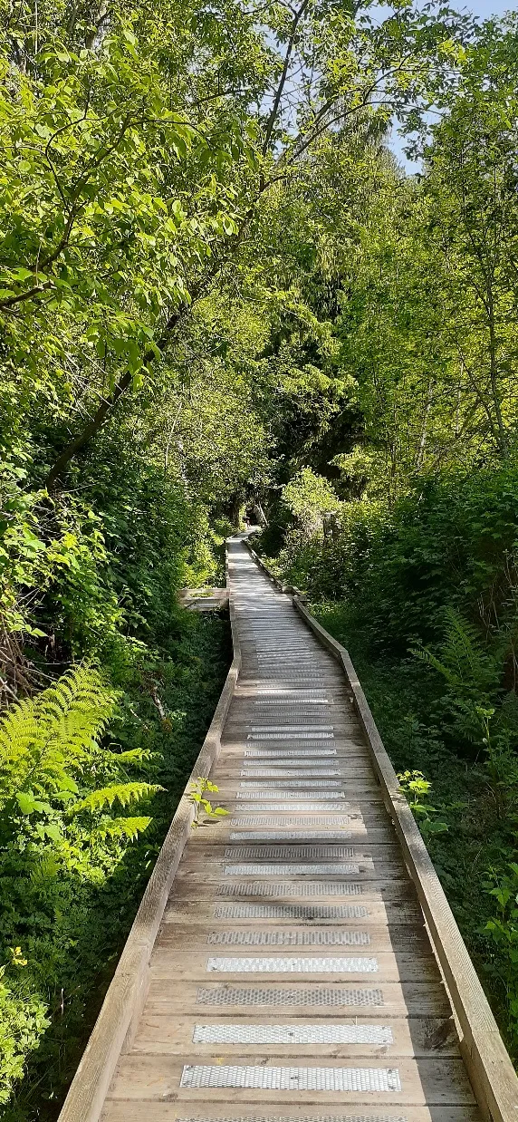 Popkum Community Trail