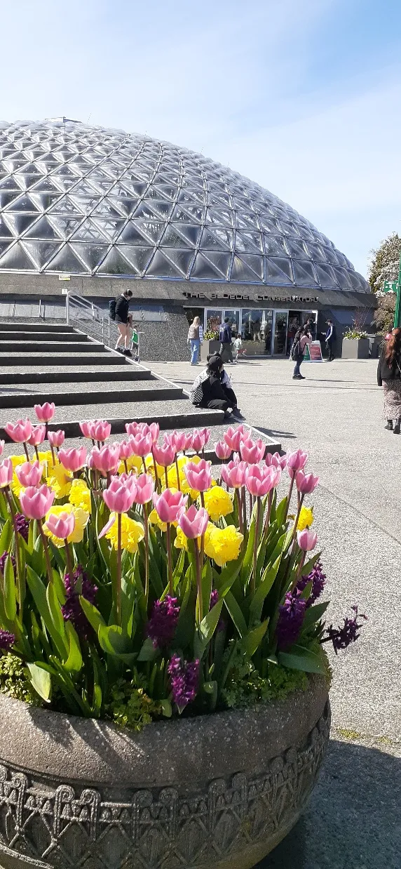 Bloedel Conservatory