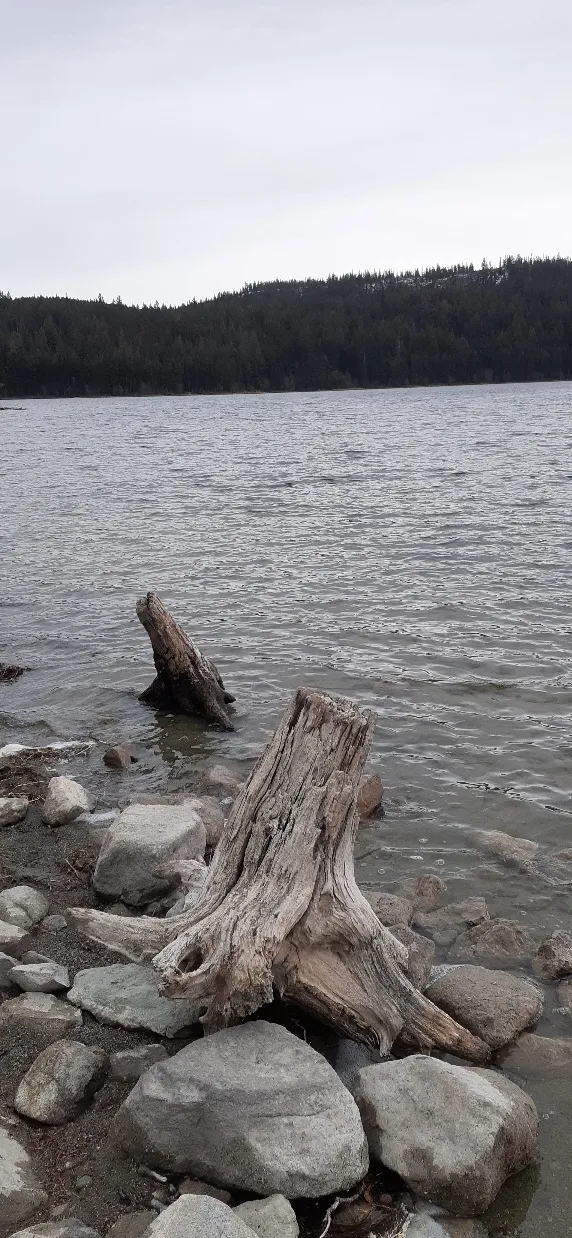 McConnell Lake Provincial Park