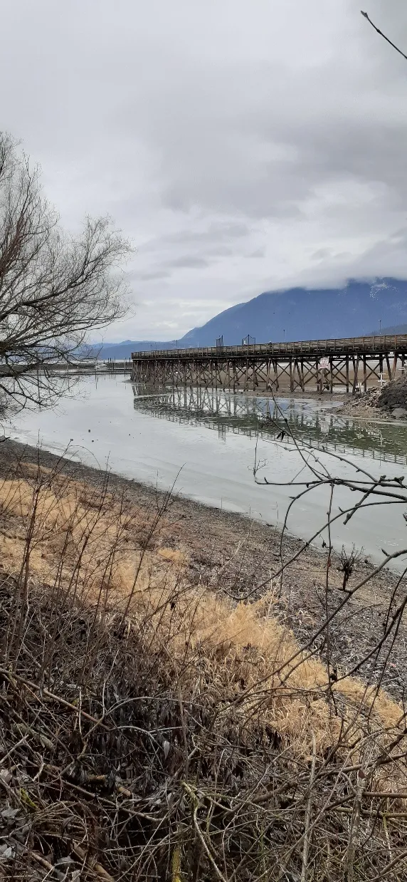 Shuswap Naturalist Club Nature Trail