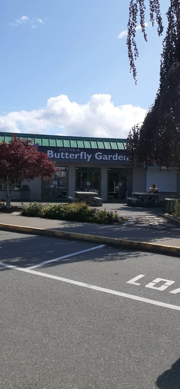 Victoria Butterfly Gardens