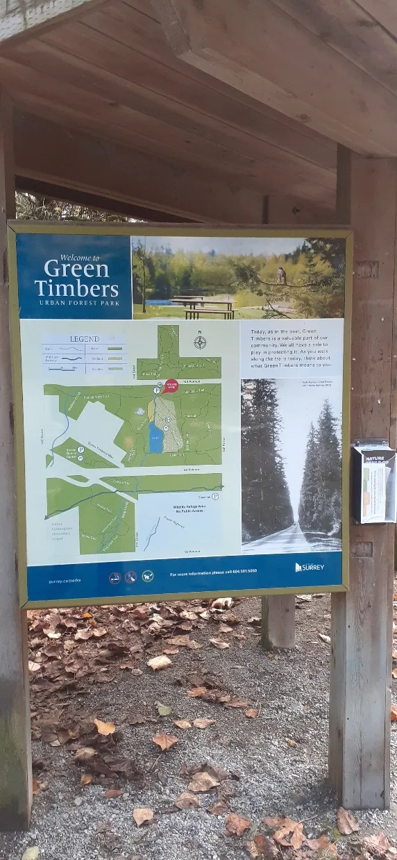 Green Timbers Urban Forest Park