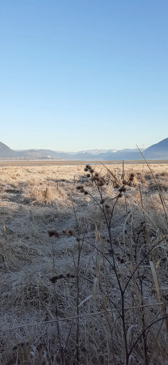 Peter Jannink Nature Park