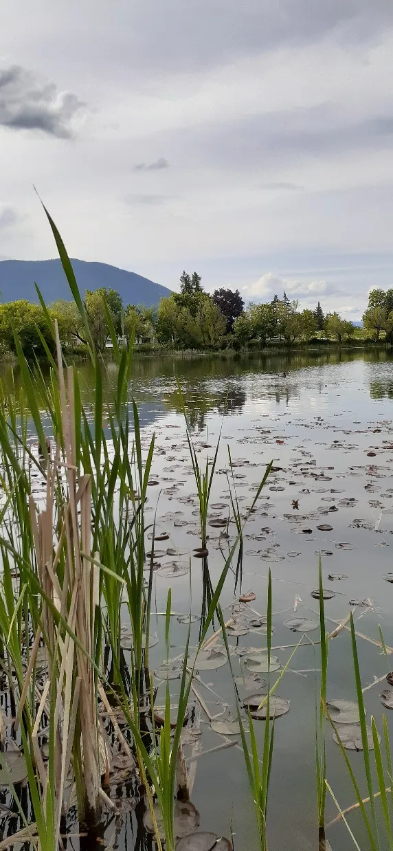 McGuire Lake Park
