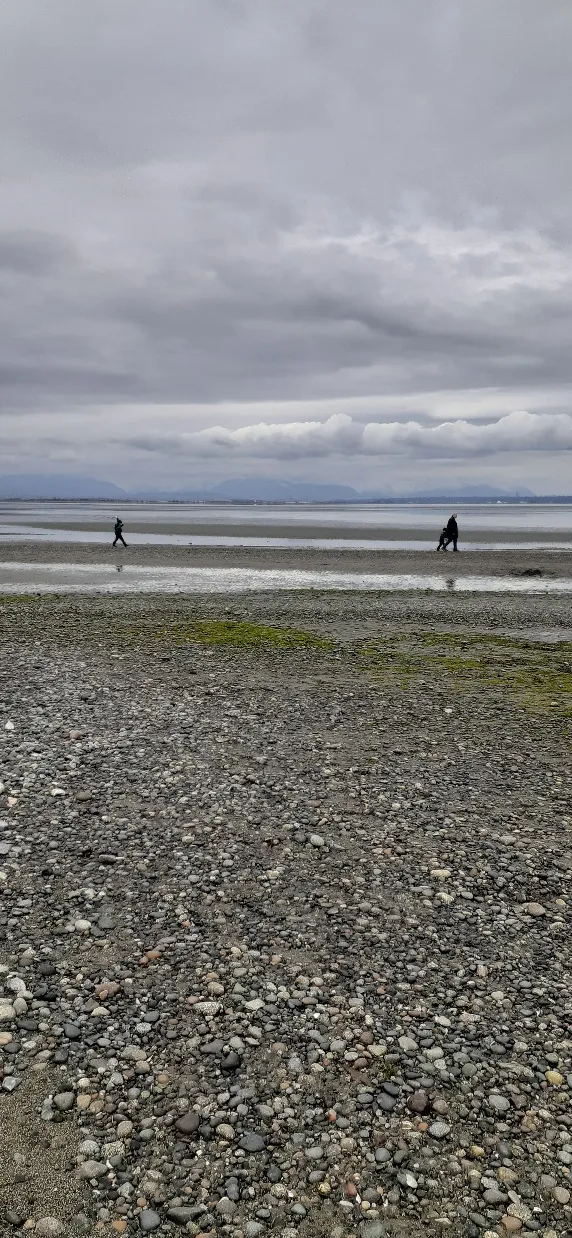 Boundary Bay Regional Park