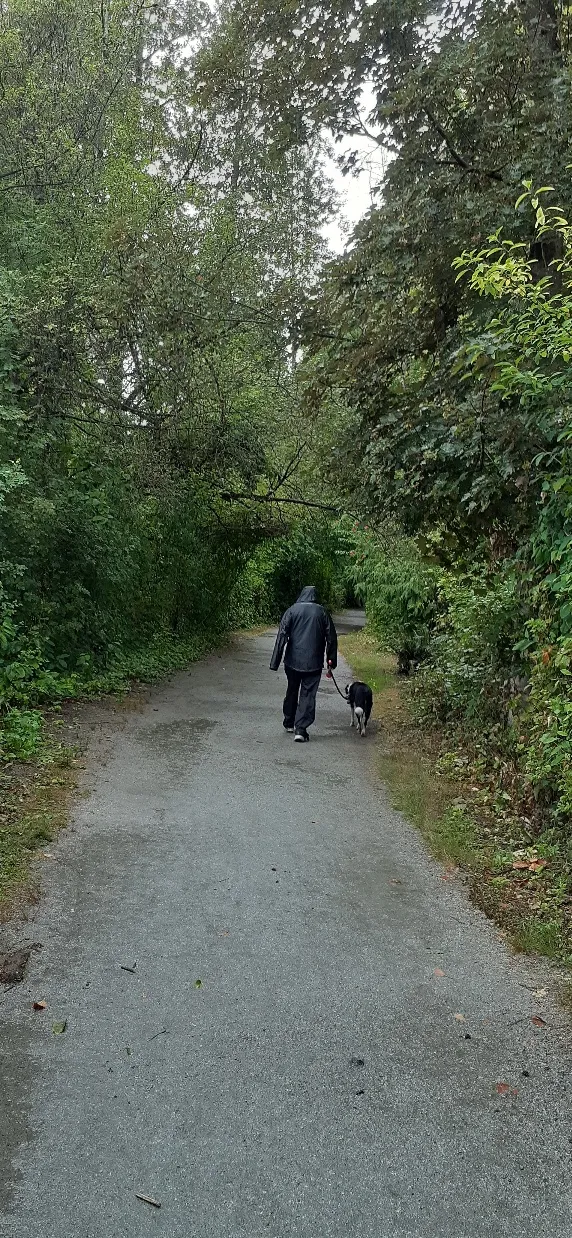 Pitt River Regional Greenway