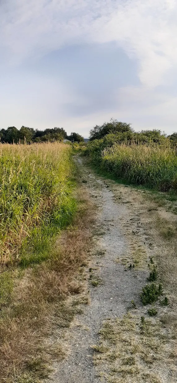 Serpentine Wildlife Management Area