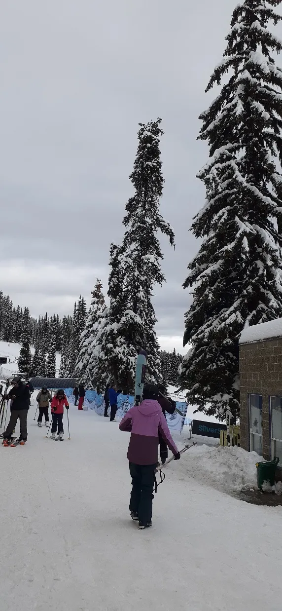 Silver Star Mountain Resort, Vernon