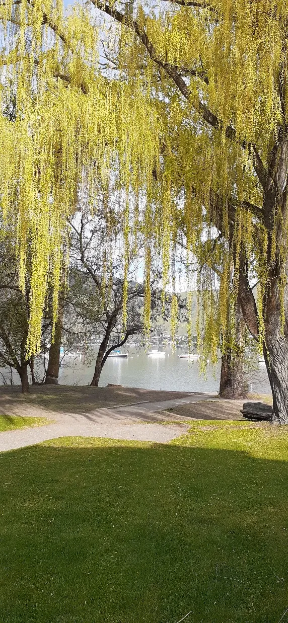 Paddlewheel Park
