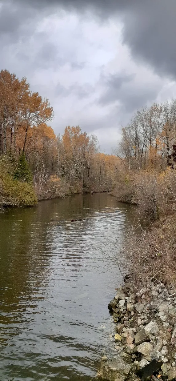 Maplewood Flats Conservation Area 