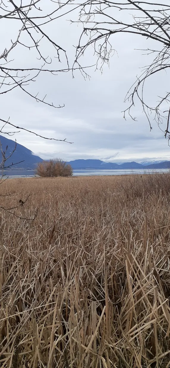 Raven (SABNES) Trail, Salmon Arm
