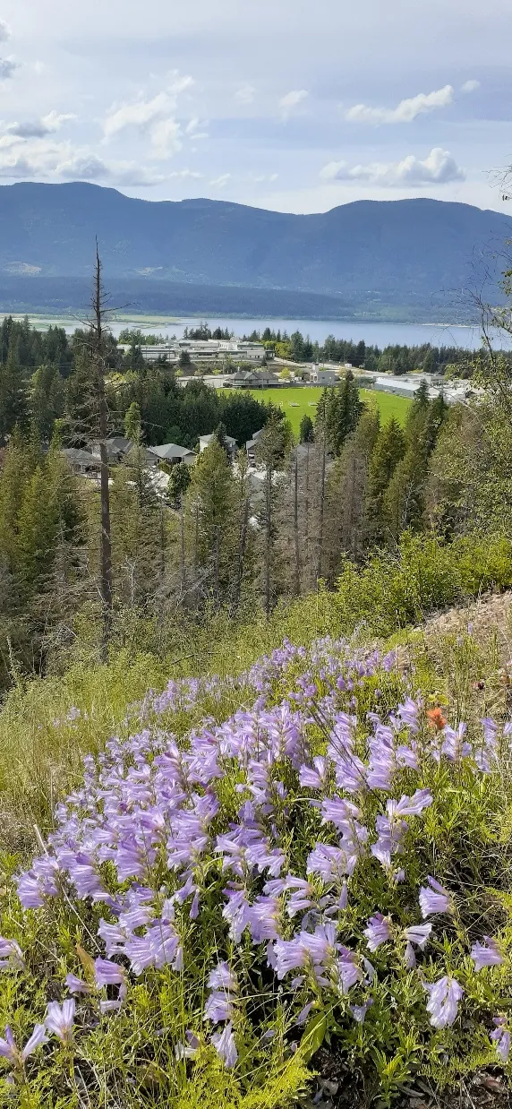 Little Mountain Park