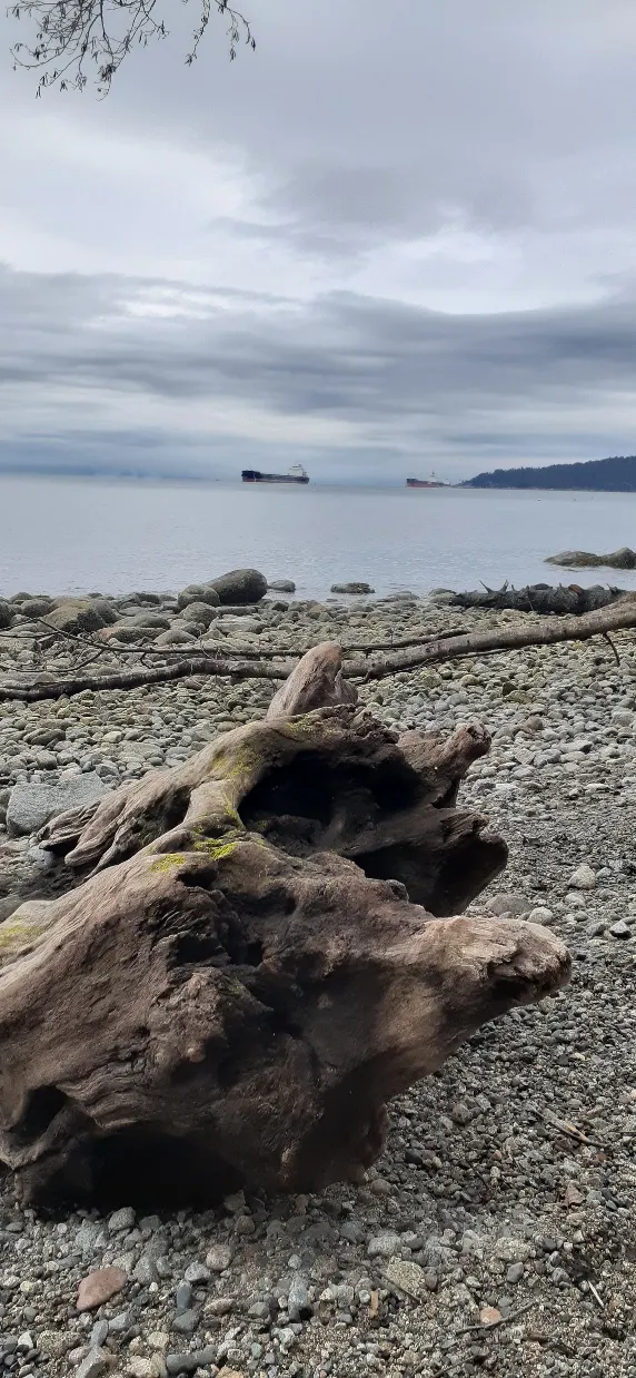 Altamont Beach Park