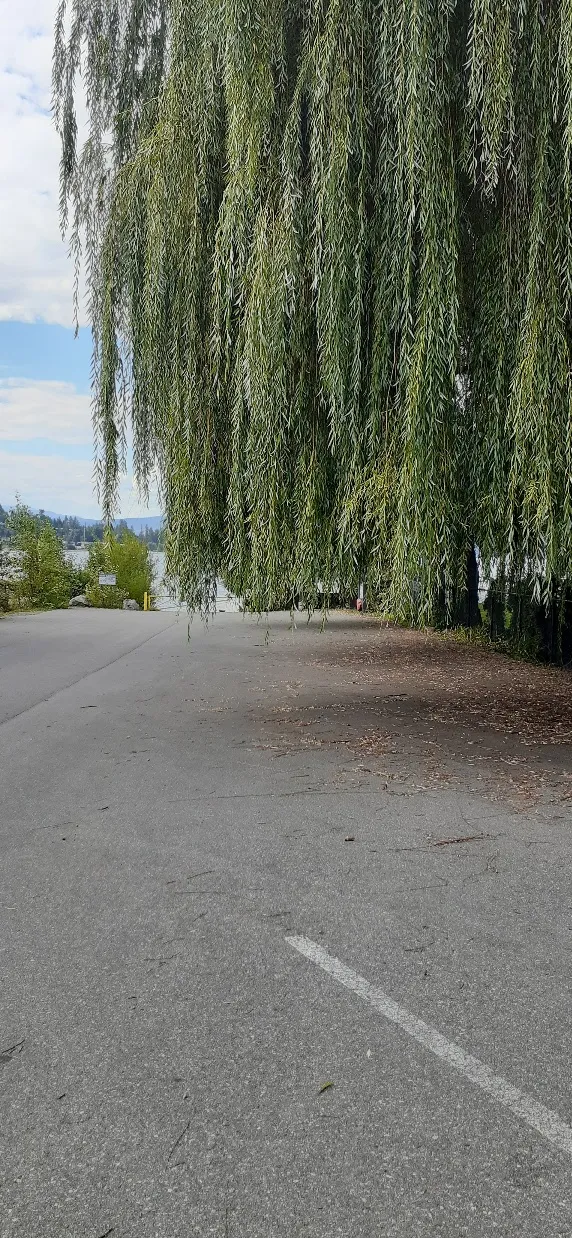 Harbour Road Boat Launch