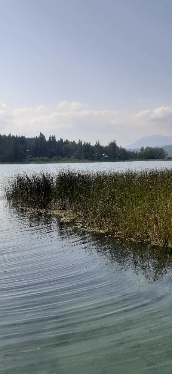 White Lake Community Park