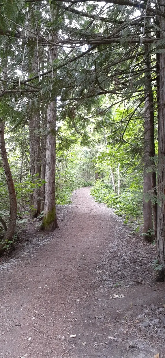 Illecillewaet Greenbelt