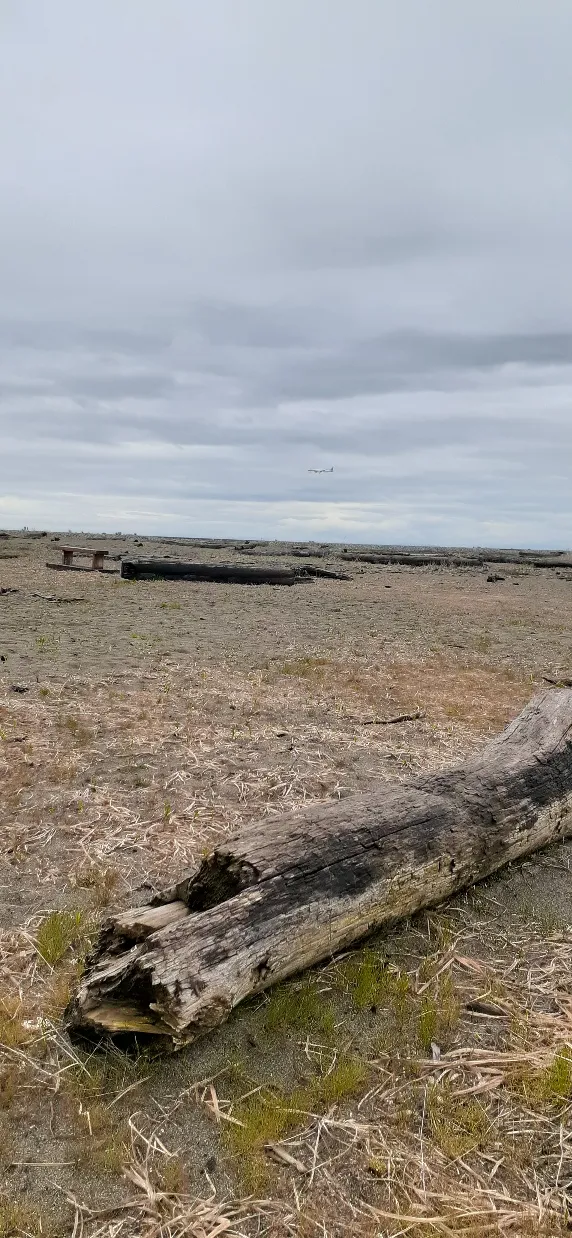 Iona Beach Regional Park