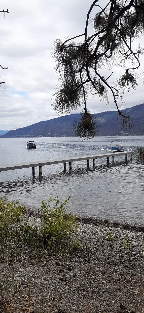 Okanagan Centre Regional Safe Harbour