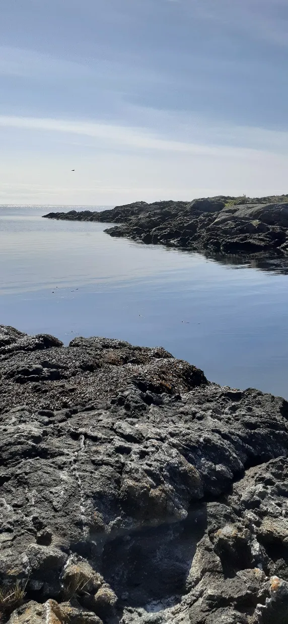 Smuggler's Cove Beach  