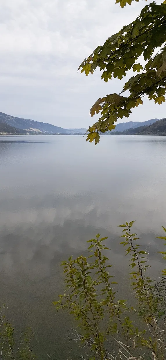 Reiswig Regional Park