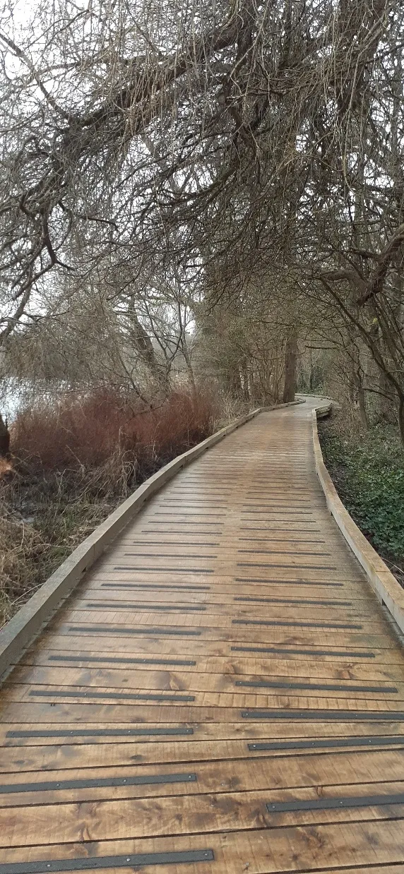 Deer Lake Park